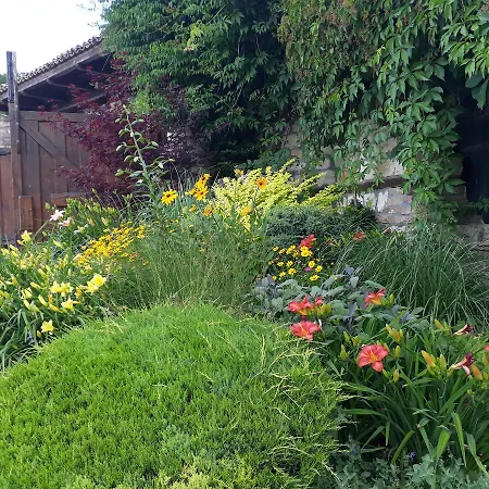 Complex Barite Szrazimir