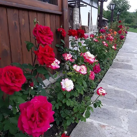 Complex Barite 3* Szrazimir