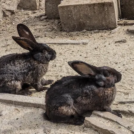 Szálloda Complex Barite