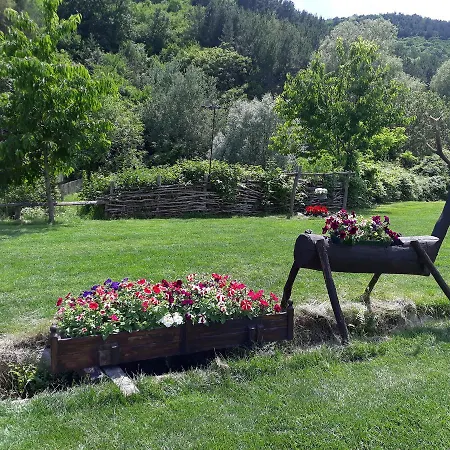 Complex Barite Hotell 3*