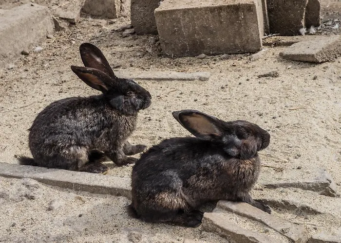 Хотел Complex Barite